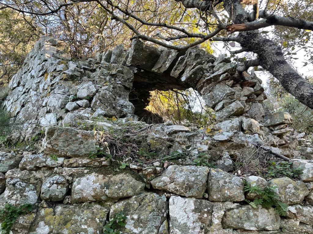 Antica Casa Prile Daire Castiglione della Pescaia Dış mekan fotoğraf